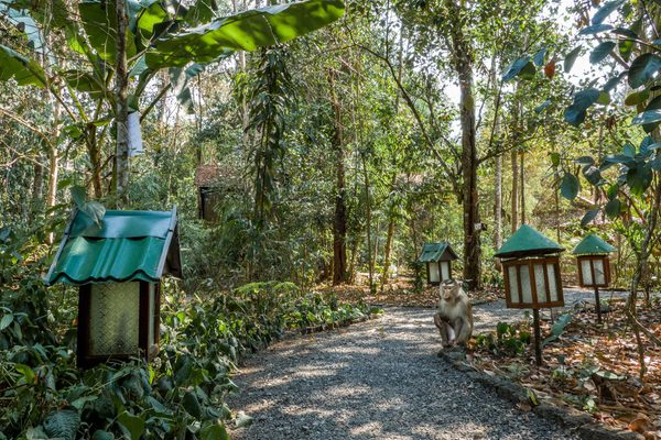 Lodge Walkways Topas Ecolodge Sapa Vietnam Facebook