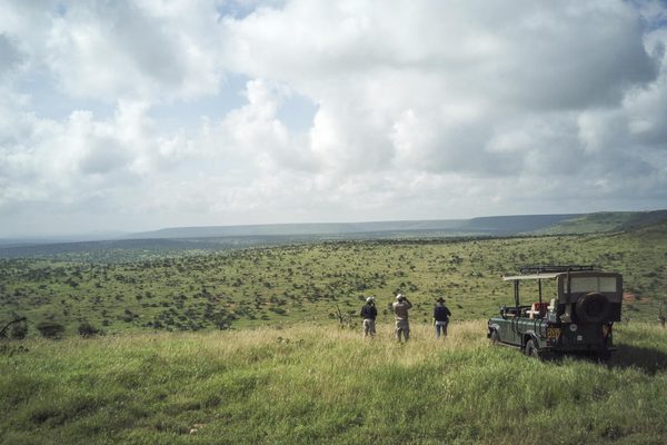Loisaba game drive