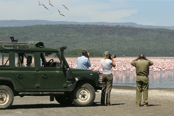 Loldia House Flamingo Safari