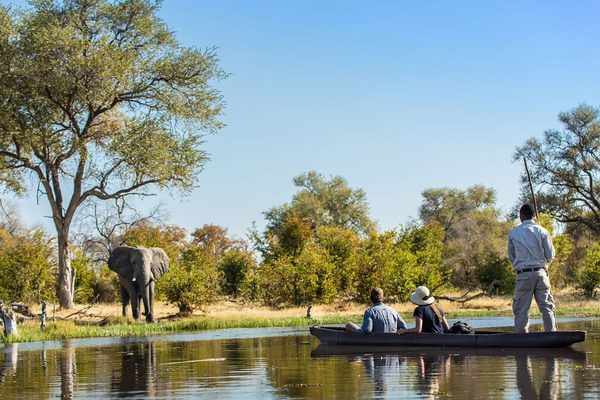 Machabasafaris l Elephant river safari Botswana
