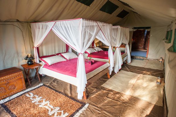 Mandrare River Camp Twin Room