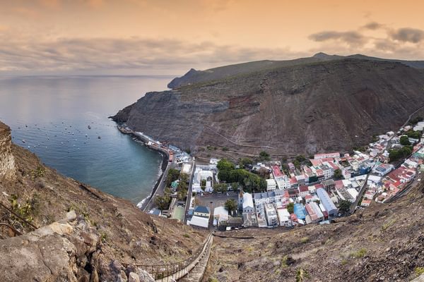 Mantis St Helena