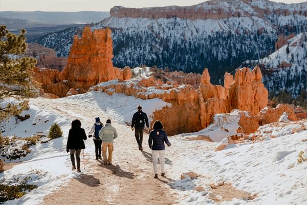 Medium RGB NAT HAB US Utah Nat Hab Bryce Zion Canyon