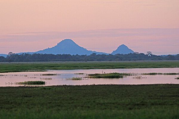 Mount Gorongosa Gorongosa National Park Mozambique 46316615492