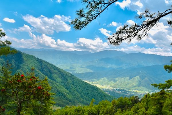 Mountain view Paro B Hutan min
