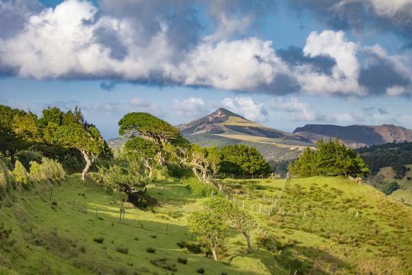 Mountain view St Helena