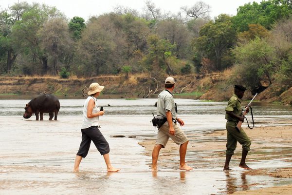 Mwaleshi camp North Luangwa Zambia Wetu