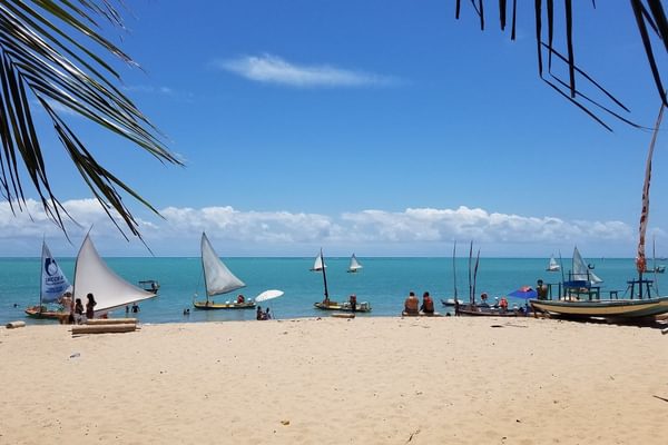 Northeast coast brazil beach