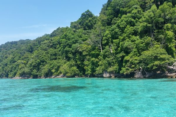 Ocean and bush Khao Lak Thailand