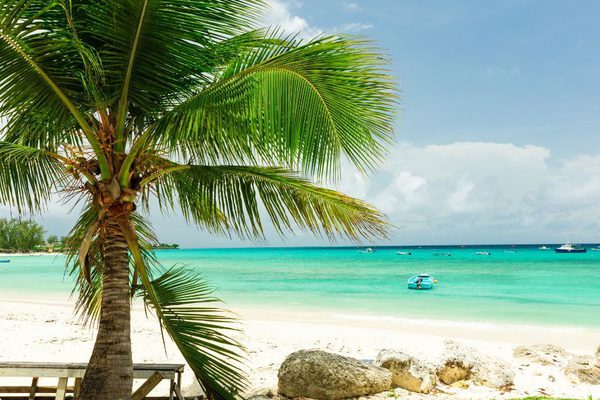 Oistins Barbados