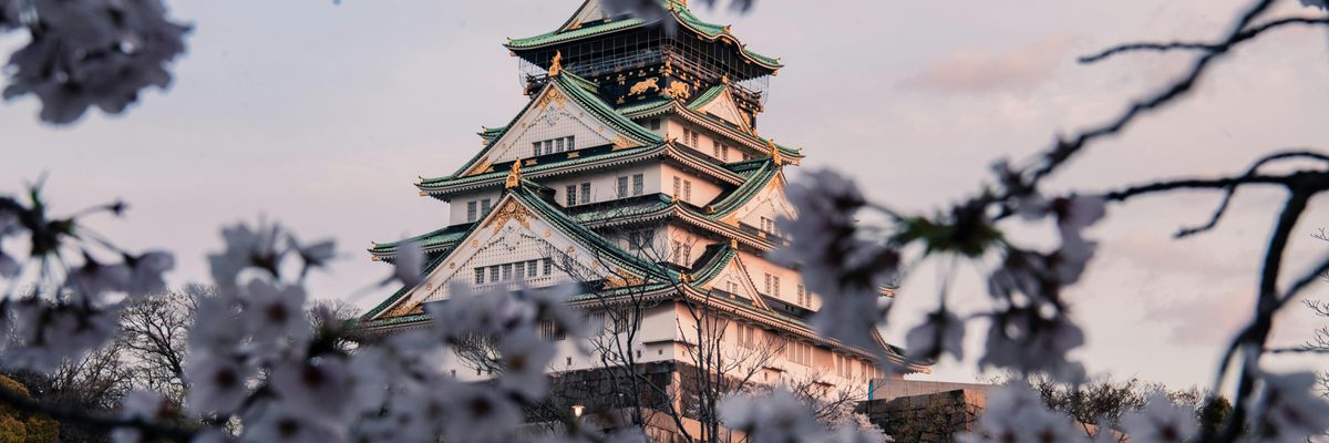 Osaka castle cherry blossoms japan pexel