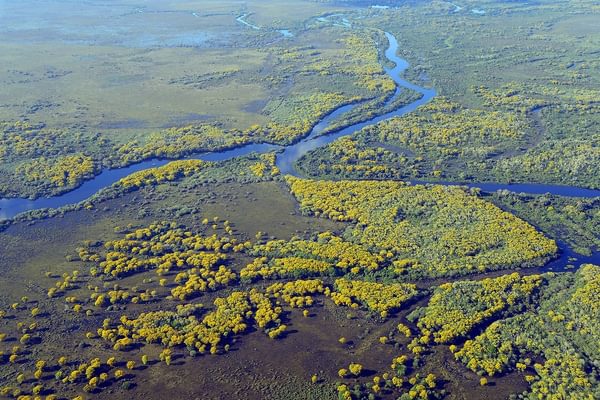 Pantanal wetlands Brazil