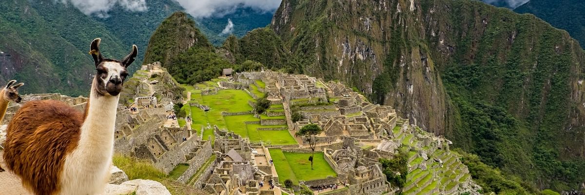 Peru llama Machu Picchu