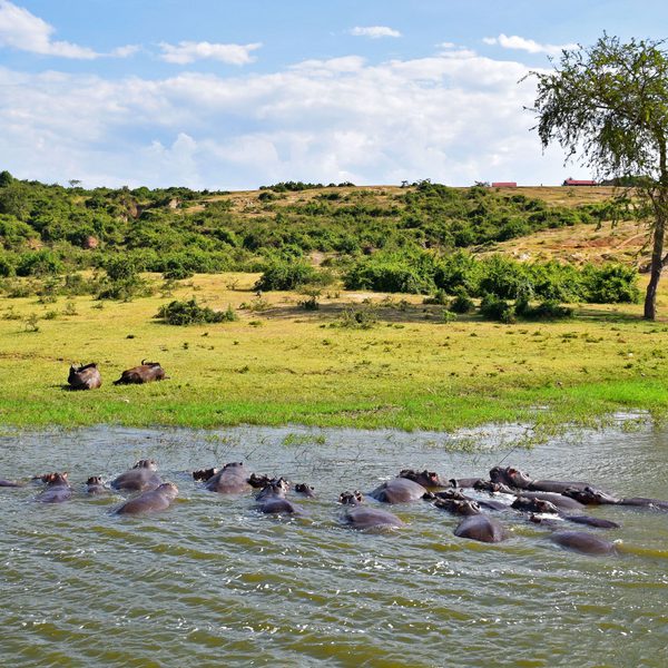 QENP Uganda Canva