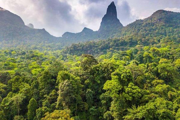 Rainforest And Peak Sao Tome Principe