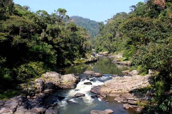 Ranomafana Park River