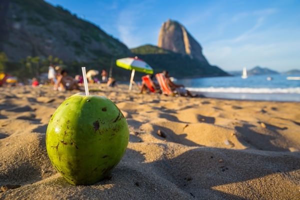 Rio coconut on the beach Brazil