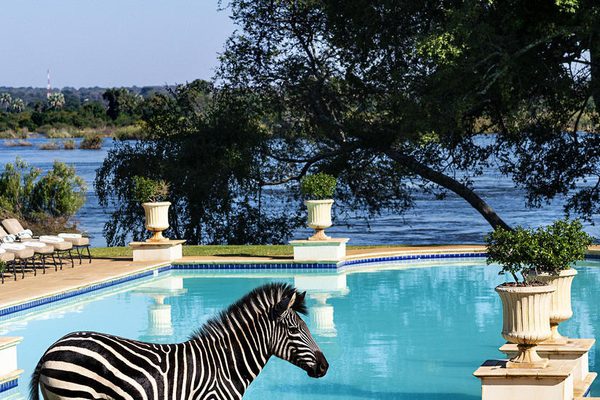 Royal livingston pool