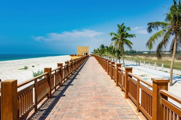 Salalah Dhofar Oman Beach canva pro