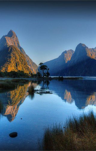 Scenic Fiordland Cabot Lodge