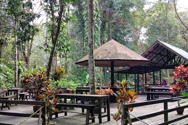 Seating Abai Jungle Lodge Kinabatangan River Borneo Facebook