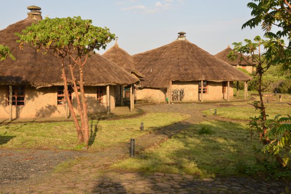 Simien Lodge Chalets
