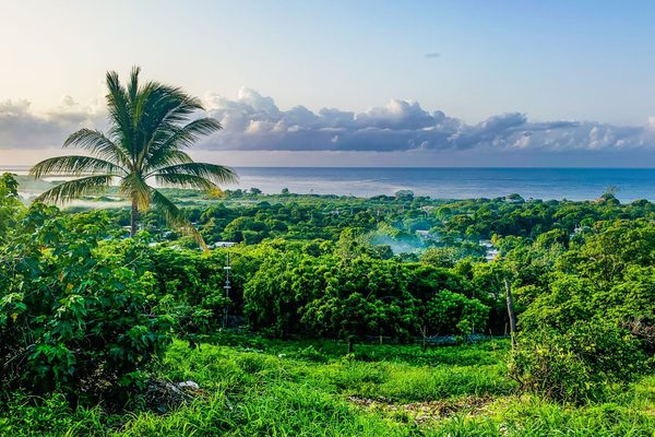 St Thomas Jamaica Canva Pro