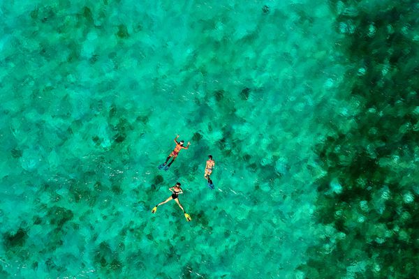 St Vincent and the Grenadines Snorkelling image