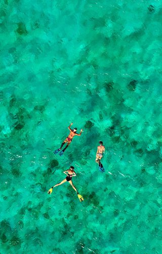 St Vincent and the Grenadines Snorkelling image