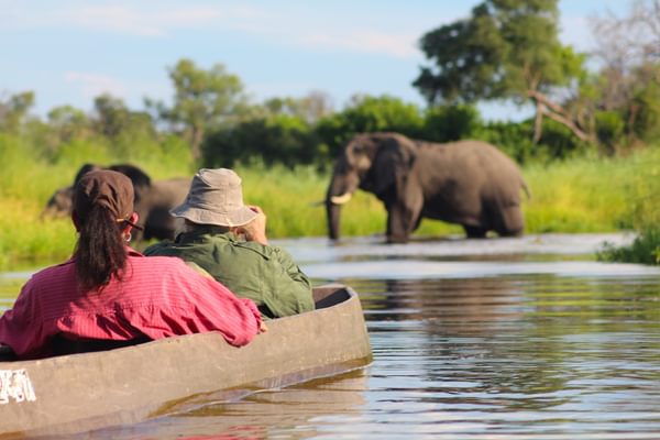 Sunway Botswana Okavango AT Reisen Patrick Franke