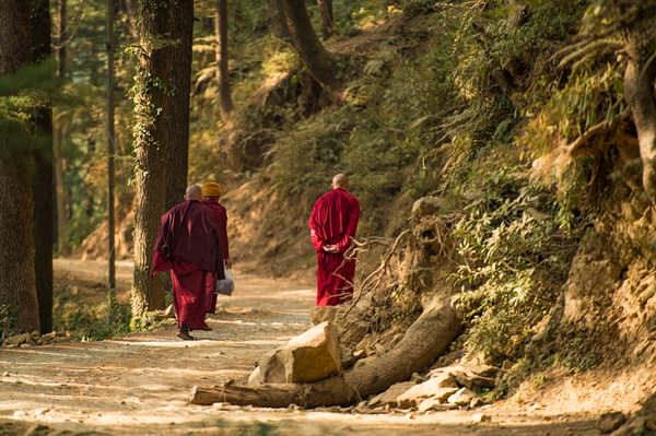 Tibetan Monks Walking In Dharamsala