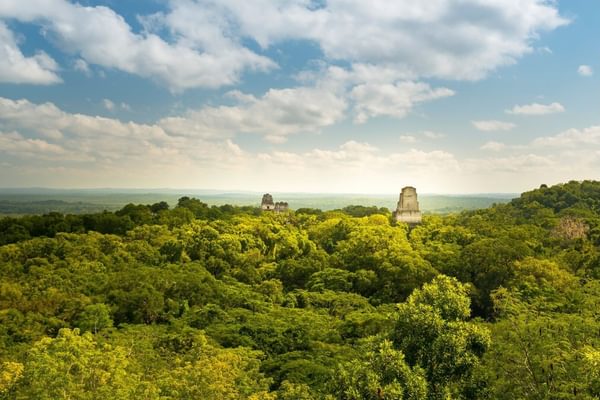 Tikal from the treetops Guatemala