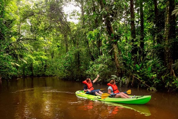 Tortuguero National Park Kayak Tour