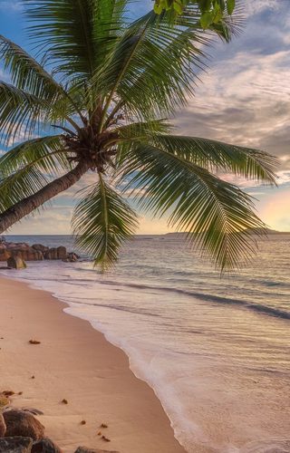 Tropical beach at sunset Jamaica Canva Pro