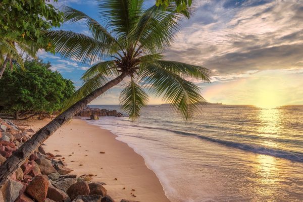 Tropical beach at sunset Jamaica Canva Pro
