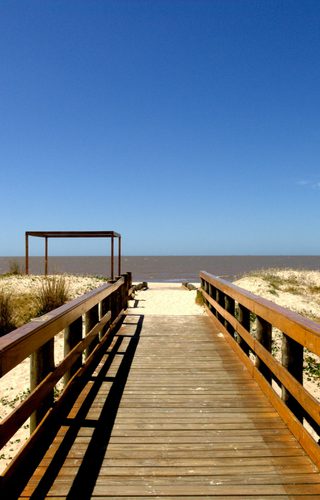 Unsplash Pocitos Montevideo Uruguay