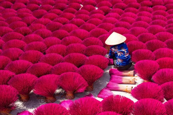 Vietnamese woman drying incense sticks Vietnam