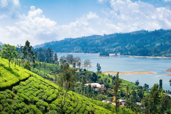 View From Tea Plantation Near Nuwara Eliya