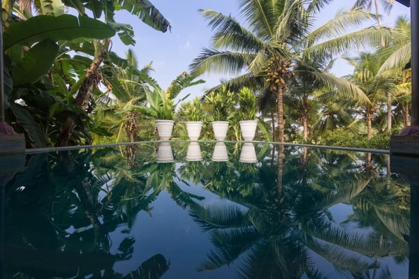 View From The Room Outside At Casa Heliconia