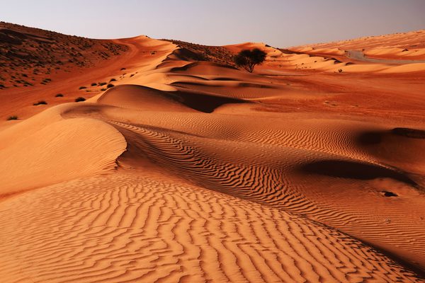 Wahiba Sands Desert