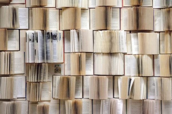Wall Filled with Books canva Pro