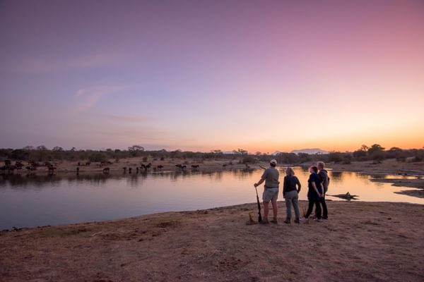 Waterbuck lodge thornybush Walking Safari