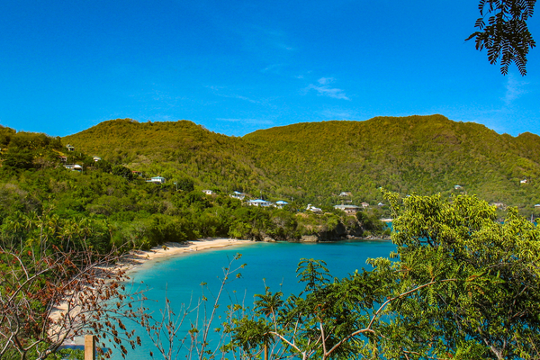 Bequia canva pro