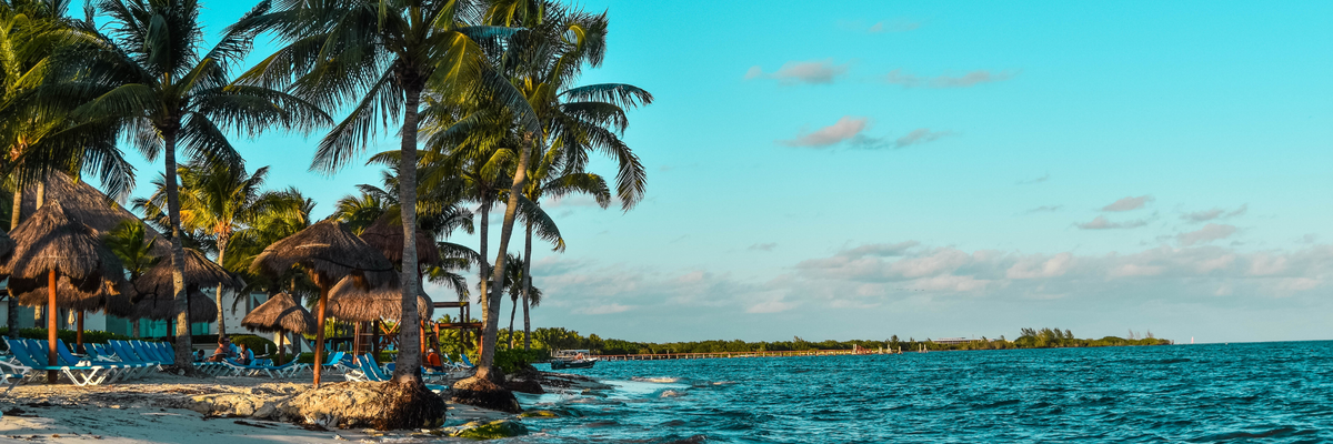 Caribbean canva pro