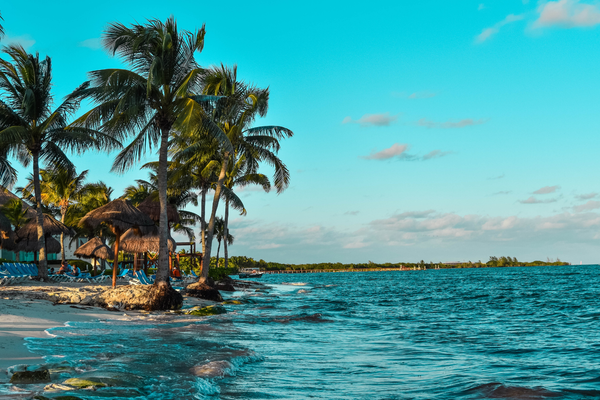 Caribbean canva pro