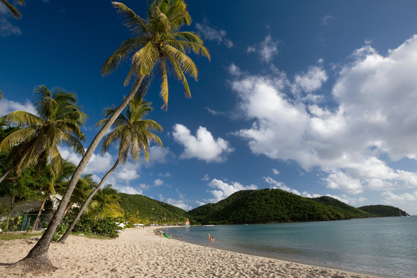 Carlisle Bay Antigua Canva Pro