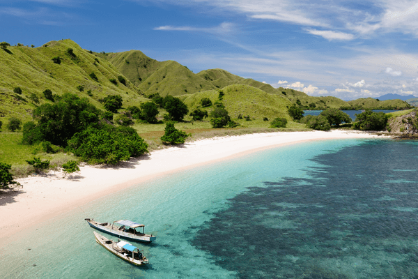 Indonesia Canva Pro