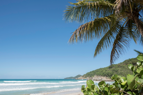 Josiahs Bay Tortola British Virgin Islands Canva Pro