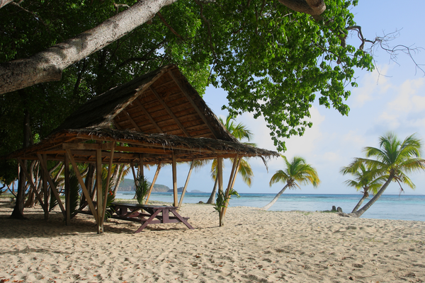 Mustique Island Galliceaux Bay St Vincent and The Grenadines canva pro