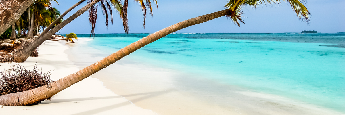 Paradise beach on Caribbean island Canva Pro